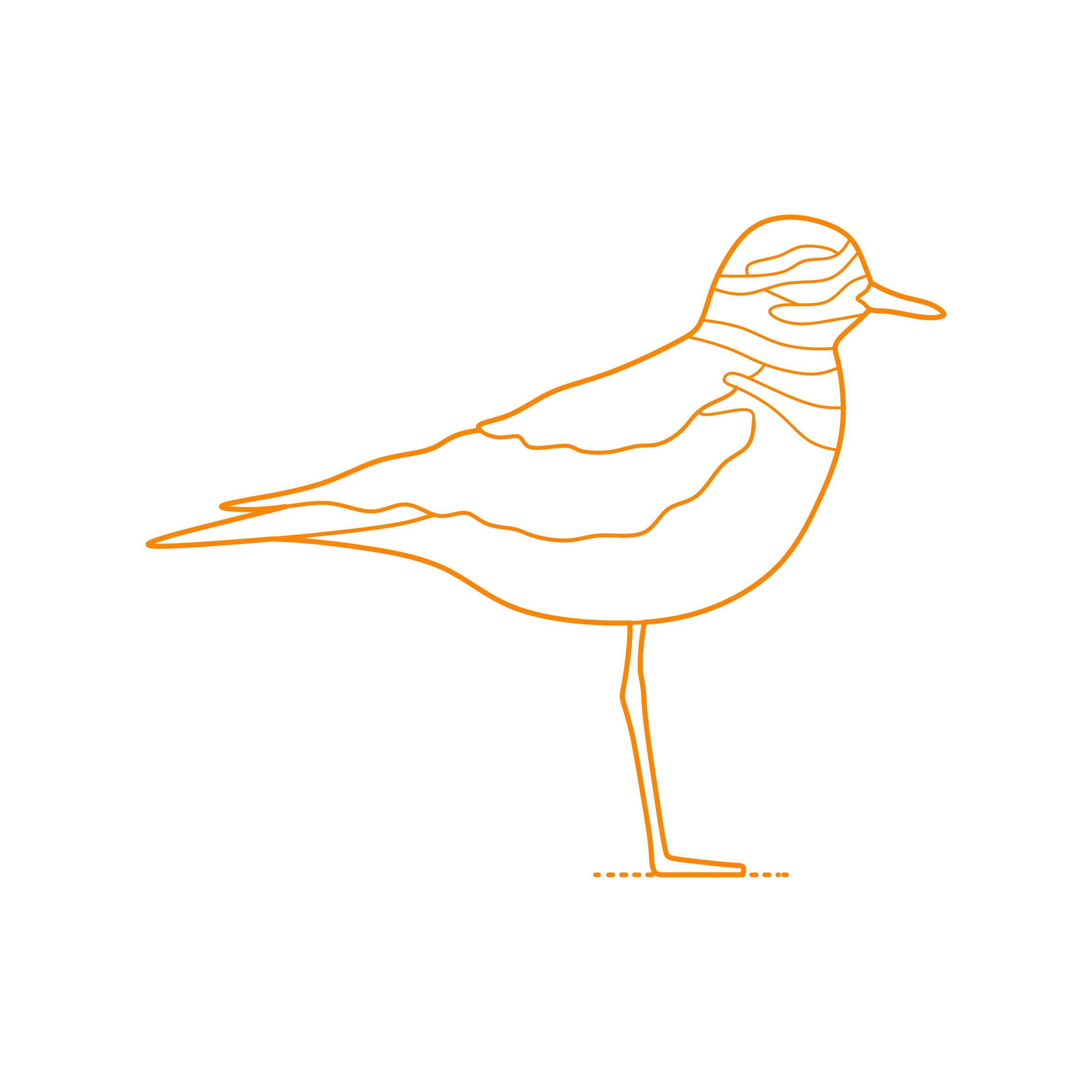 Animals Shorebirds Killdeer Editable Svg Line Art Free Vectors